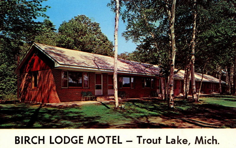 Birch Lodge (Birch Lodge Motel) - Vintage Postcard